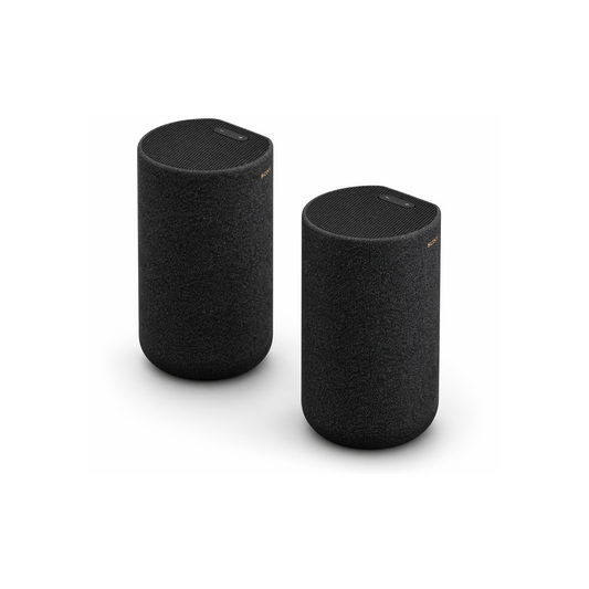 Sony SA-RS5 kabellose zweifache Rear-Lautsprecher mit integriertem Akku (180W Gesamtleitung), Schwarz